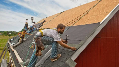 Roof Repair